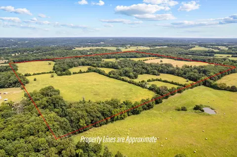 433 Morriset Rd, Sparta, MO 65753 photo 6