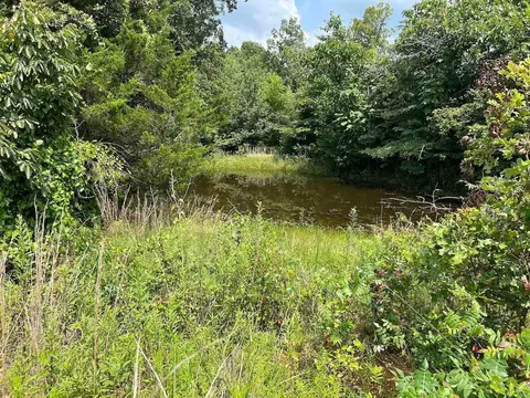 303 V Hwy, Thayer, MO 65791 photo 8