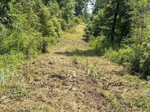 303 V Hwy, Thayer, MO 65791 photo 9