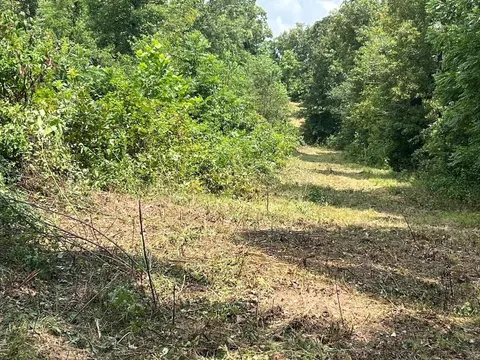 303 V Hwy, Thayer, MO 65791 photo 10