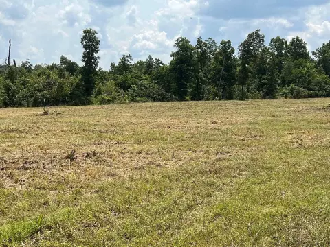 303 V Hwy, Thayer, MO 65791 photo 6
