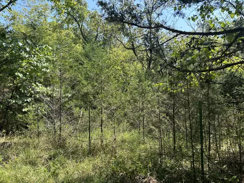 7789 Co Rd T-561, Ava, MO 65608 photo 3