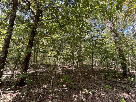 7789 Co Rd T-561, Ava, MO 65608 photo 12