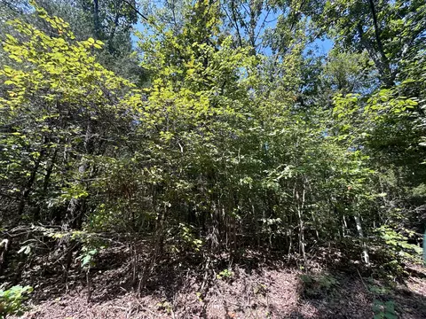 7789 Co Rd T-561, Ava, MO 65608 photo 11