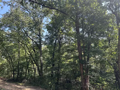 7789 Co Rd T-561, Ava, MO 65608 photo 15