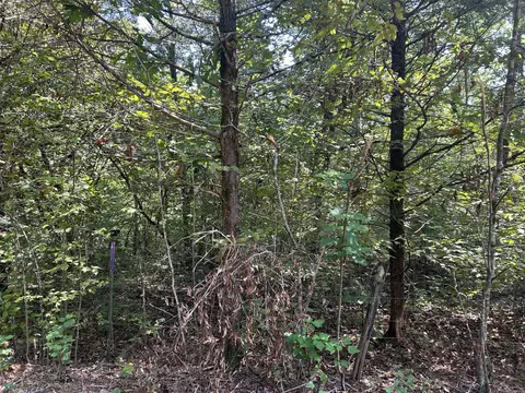 7789 Co Rd T-561, Ava, MO 65608 photo 7