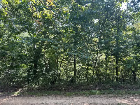 7789 Co Rd T-561, Ava, MO 65608 photo 16