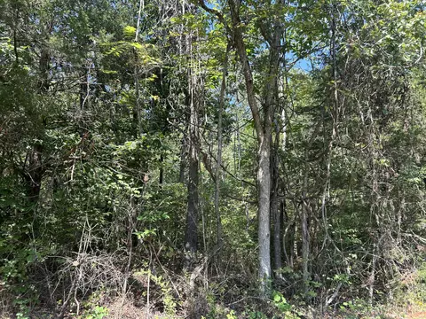 7789 Co Rd T-561, Ava, MO 65608 photo 2