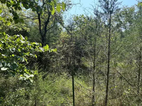 7789 Co Rd T-561, Ava, MO 65608 photo 5