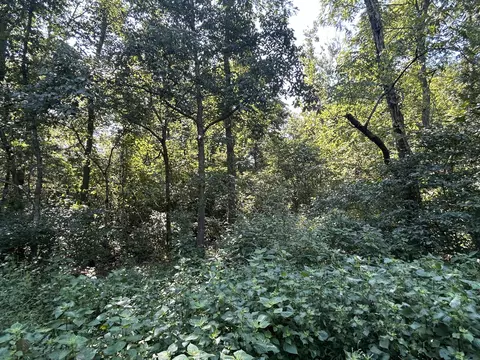 7789 Co Rd T-561, Ava, MO 65608 photo 19