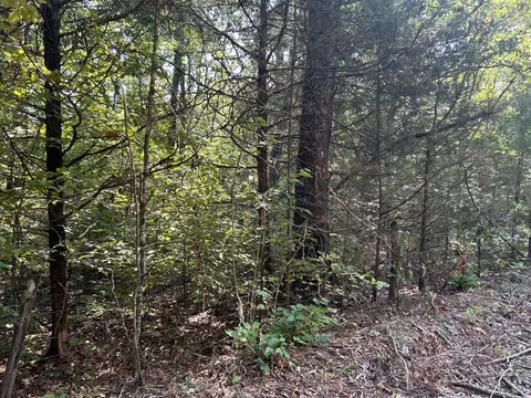 7789 Co Rd T-561, Ava, MO 65608 photo 6
