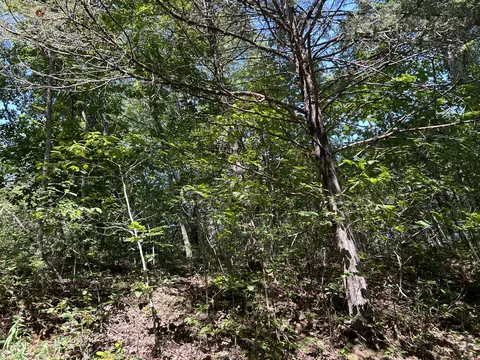 7789 Co Rd T-561, Ava, MO 65608 photo 18