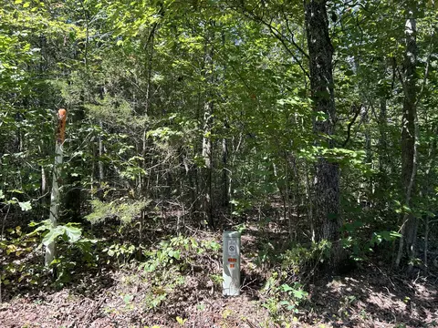 7789 Co Rd T-561, Ava, MO 65608 photo 10