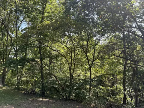 7789 Co Rd T-561, Ava, MO 65608 photo 14