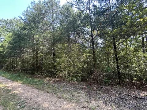 7789 Co Rd T-561, Ava, MO 65608 photo 8