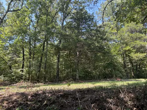 7789 Co Rd T-561, Ava, MO 65608 photo 17