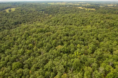 0000 County Road Z-464, Birch Tree, MO 65438