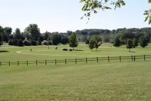 000 Sienna Dr, West Plains, MO 65775