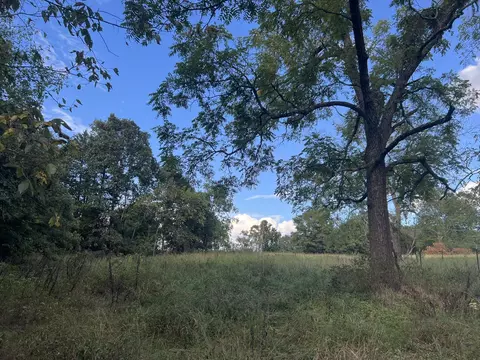 17854 State Highway U, Ava, MO 65608 photo 39