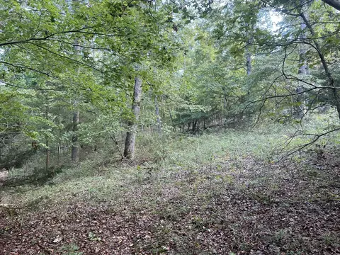 17854 State Highway U, Ava, MO 65608 photo 27