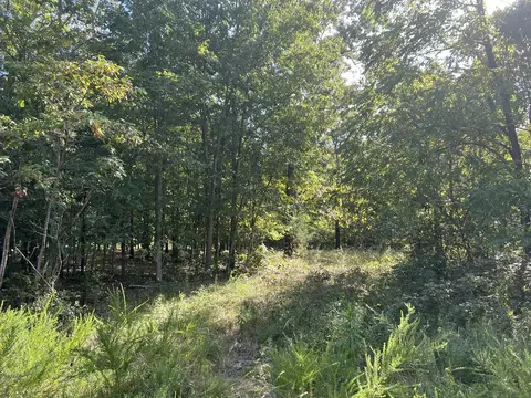 17854 State Highway U, Ava, MO 65608 photo 7