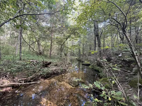 17854 State Highway U, Ava, MO 65608 photo 15