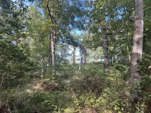 17854 State Highway U, Ava, MO 65608 photo 20