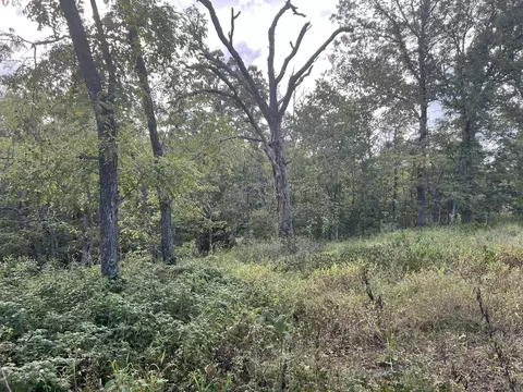 17854 State Highway U, Ava, MO 65608 photo 35