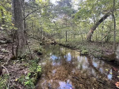 17854 State Highway U, Ava, MO 65608 photo 16