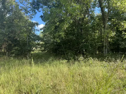17854 State Highway U, Ava, MO 65608 photo 6