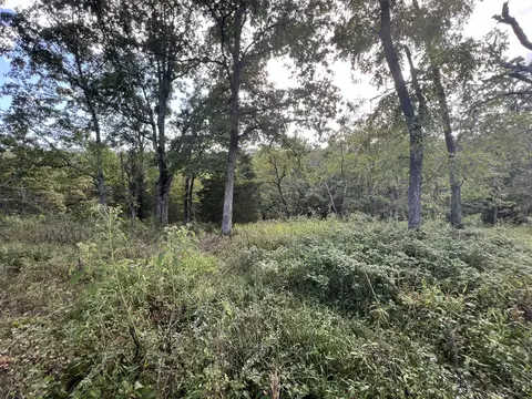 17854 State Highway U, Ava, MO 65608 photo 36