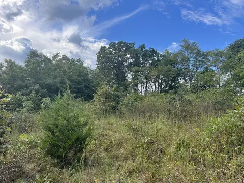 17854 State Highway U, Ava, MO 65608 photo 32
