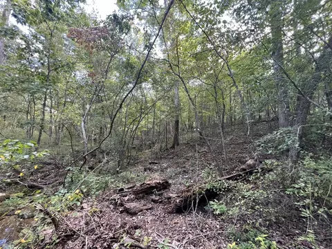 17854 State Highway U, Ava, MO 65608 photo 13