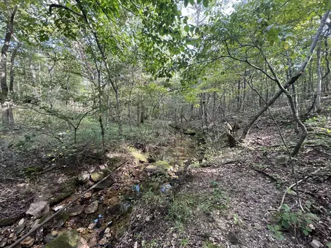 17854 State Highway U, Ava, MO 65608 photo 14