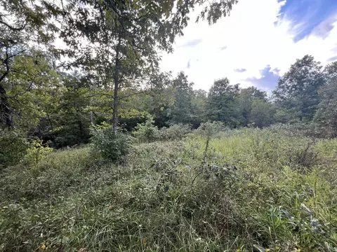17854 State Highway U, Ava, MO 65608 photo 37