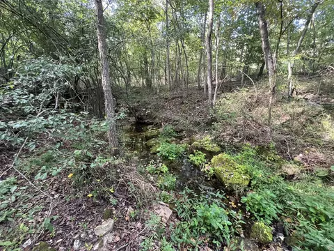17854 State Highway U, Ava, MO 65608 photo 12