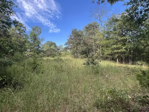 17854 State Highway U, Ava, MO 65608 photo 30