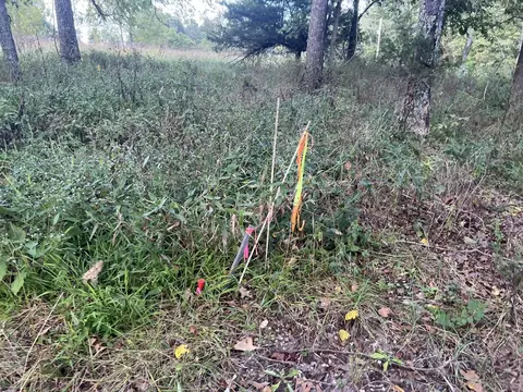 17854 State Highway U, Ava, MO 65608 photo 33