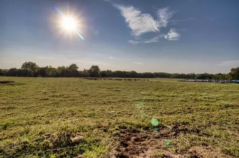 9280 Nova Rd, Carthage, MO 64836 photo 68
