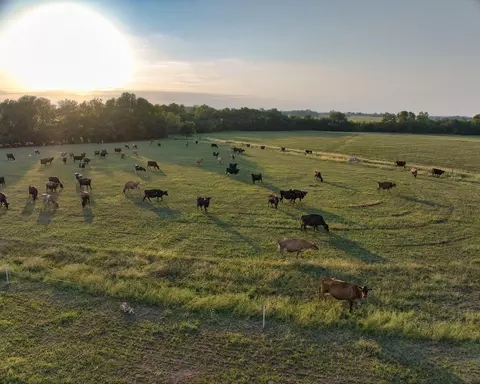 9280 Nova Rd, Carthage, MO 64836 photo 18