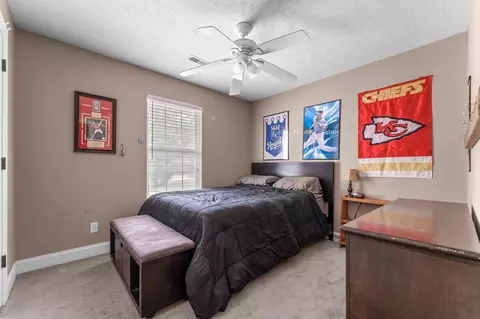 162 Daisy Ln, Billings, MO 65610 photo 23