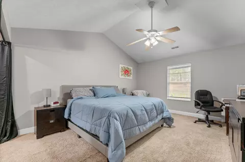 162 Daisy Ln, Billings, MO 65610 photo 16