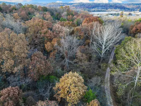 000 Pine St, Noel, MO 64854 photo 14