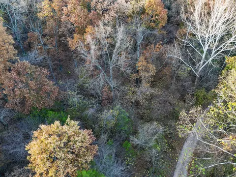 000 Pine St, Noel, MO 64854 photo 15