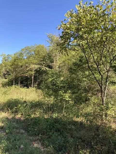 Undisclosed, Mansfield, MO 65704 photo 4
