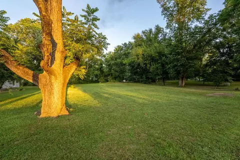 8819 State Route 99, Birch Tree, MO 65438 photo 8