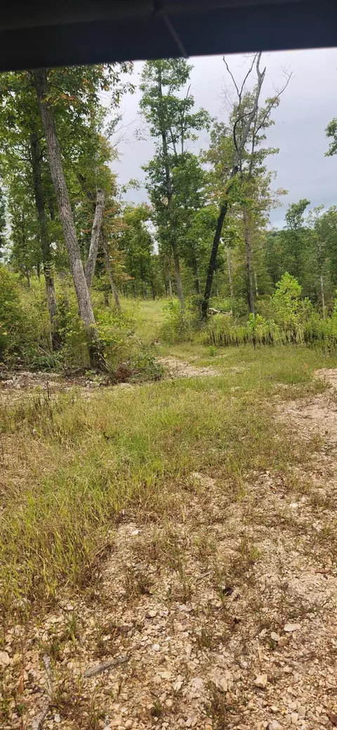 2 Bilyeu Creek Road, Chadwick, MO 65629 photo 3