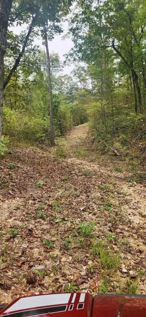 2 Bilyeu Creek Road, Chadwick, MO 65629 photo 4