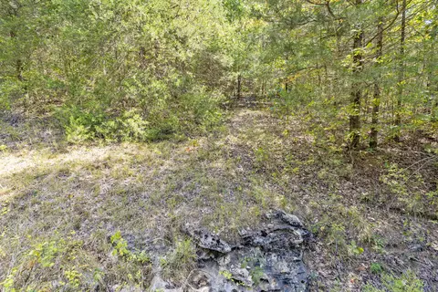 3508 Reno Hollow Rd, Spokane, MO 65754 photo 13