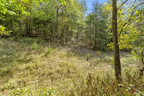 3508 Reno Hollow Rd, Spokane, MO 65754 photo 12